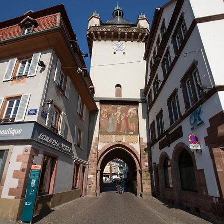 Le Rhenanus Ludwig Dringenberg - Appartement Au Calme - Centre Ville - Parking Gratuit セレスタ エクステリア 写真